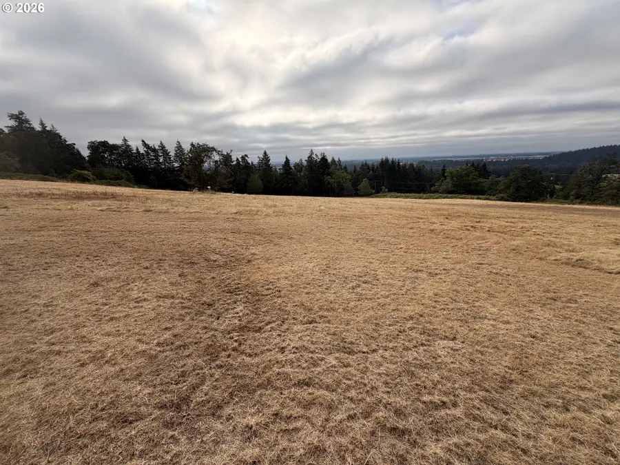 SW Kramien Rd, Newberg, OR 97132 - #3