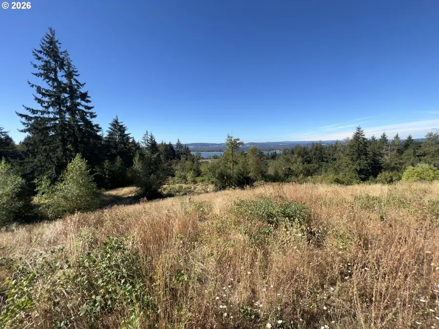 300 Daves View Dr, Kalama, WA 98625 - #2