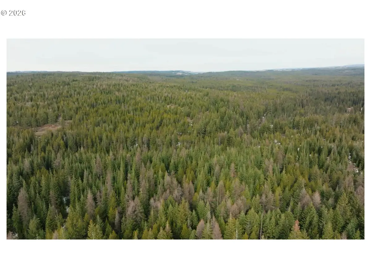 0 Ross Rd, Meacham, OR 97859 - #1