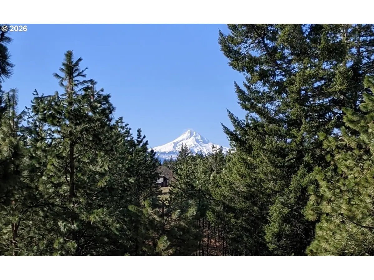 41 Mountain View Rd, Lyle, WA 98635 - #1