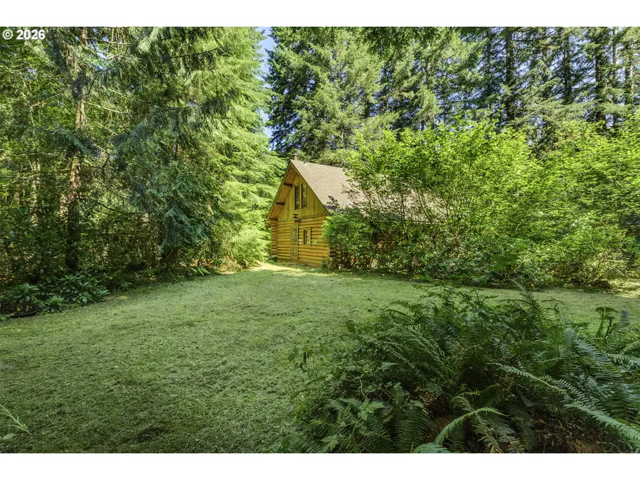 9947 Beach Dr, Birkenfeld, OR 97016 - #3