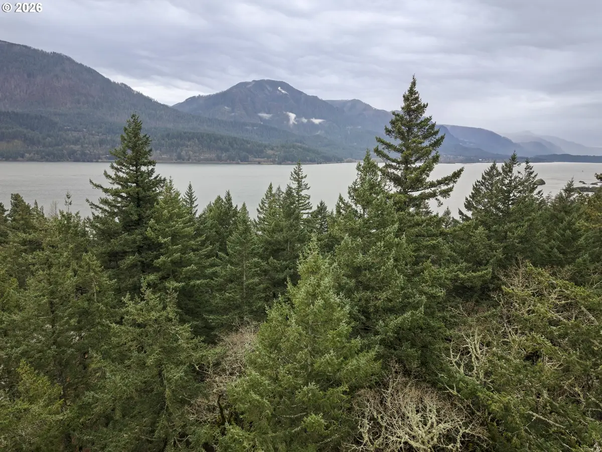 Seward Rd, Carson, WA 98610 - #1