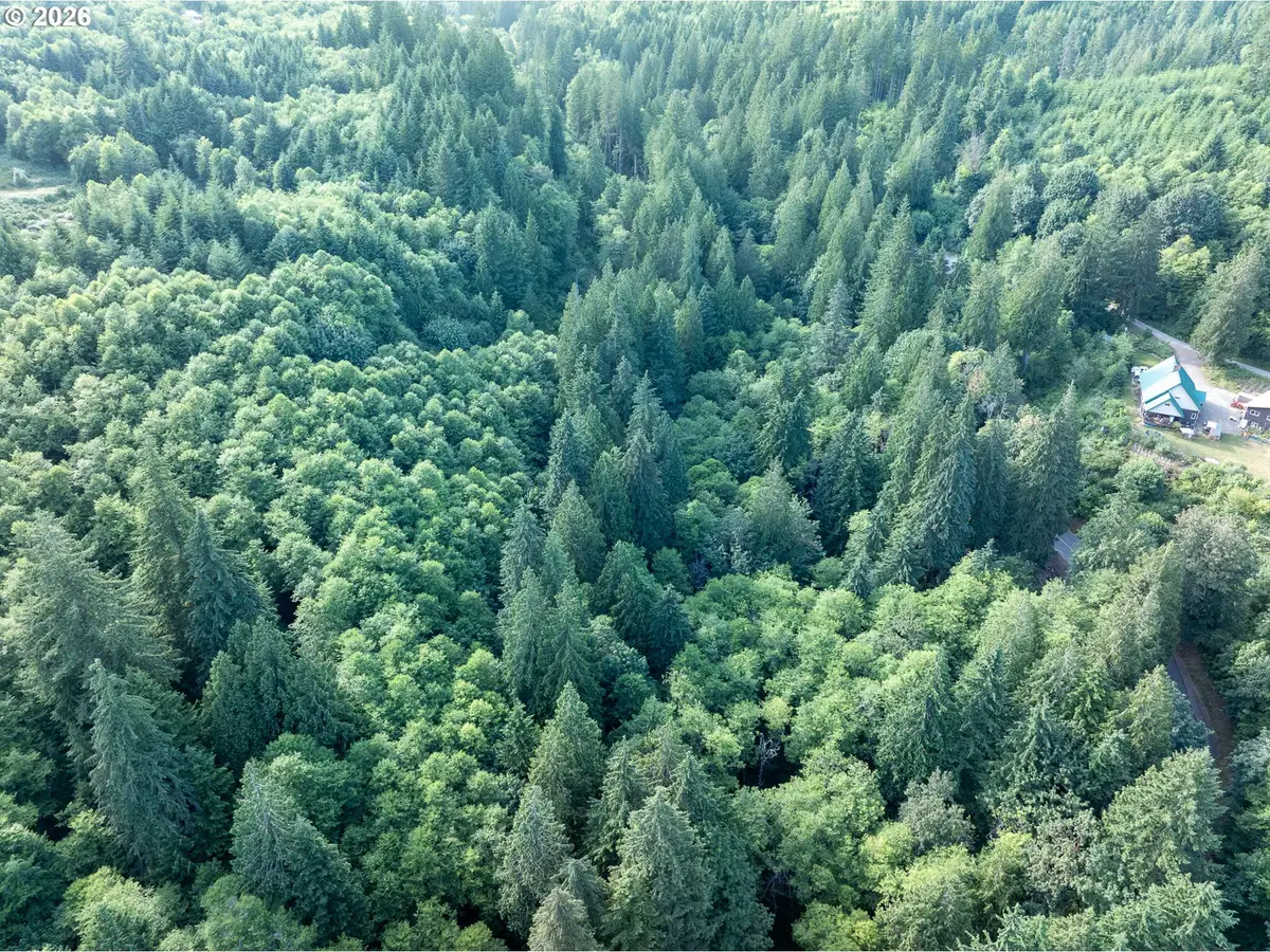 0 N Dubois Rd, Ariel, WA 98603 - #1