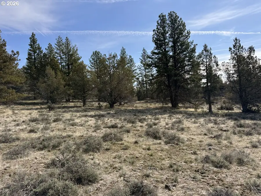 Yellow Jacket Spring Rd #1100, Beatty, OR 97621 - #2