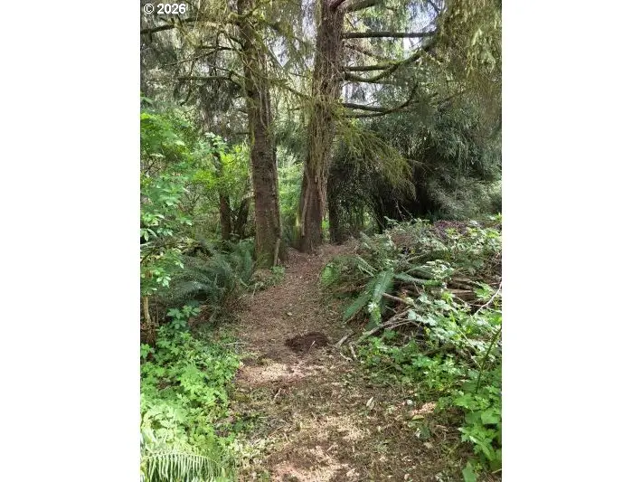2403/2410 Birch St, Cannon Beach, OR 97110 - #3