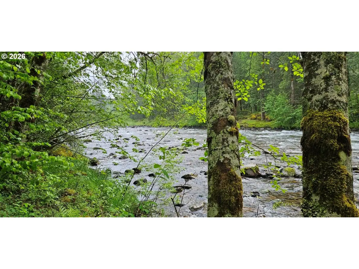 63956 E Barlow Trail Rd, Rhododendron, OR 97049 - #1