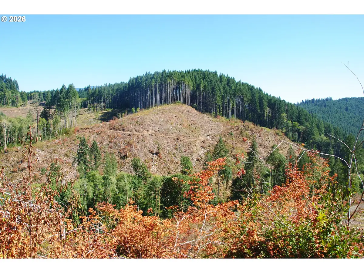 00 Van Horn (140) Rd, Alsea, OR 97324 - #1