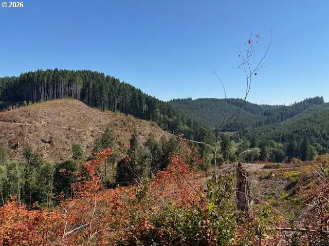 00 Van Horn (140) Rd, Alsea, OR 97324 - #2
