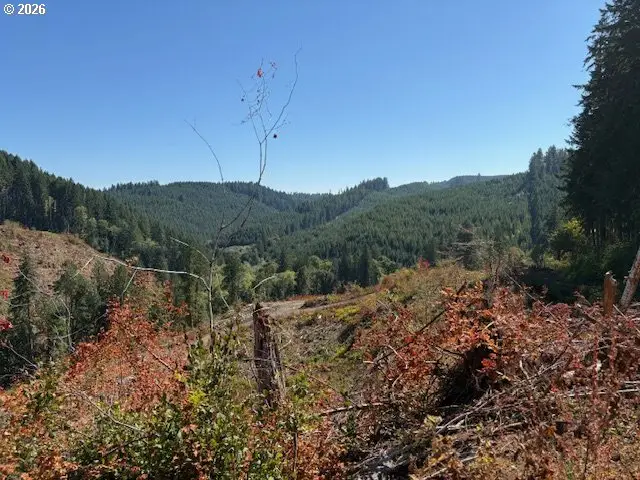 00 Van Horn (140) Rd, Alsea, OR 97324 - #3