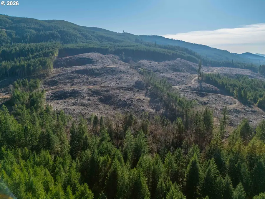 Camp Creek Rd, Springfield, OR 97478 - #3