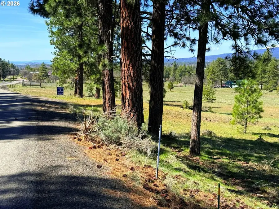 471 Woodland Rd, Goldendale, WA 98620 - #3