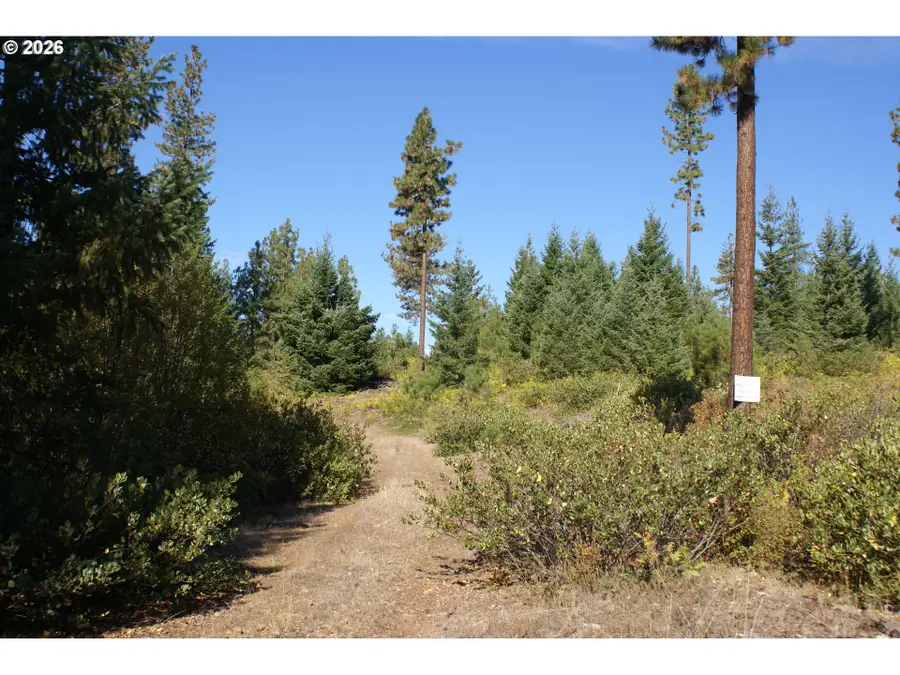 Cedar Valley Rd, Goldendale, WA 98620 - #2