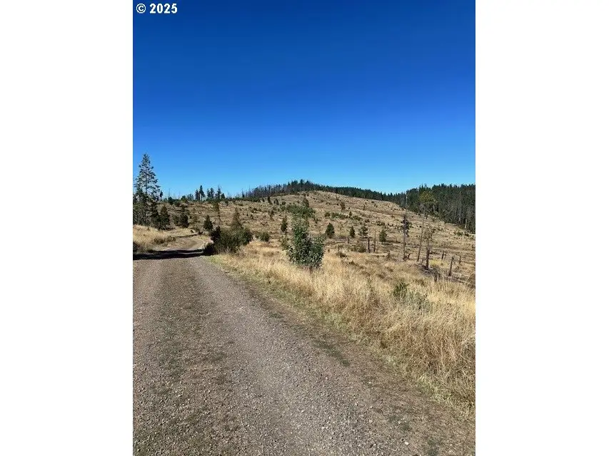 Diamond Rock Rd, Winston, OR 97496 - #2