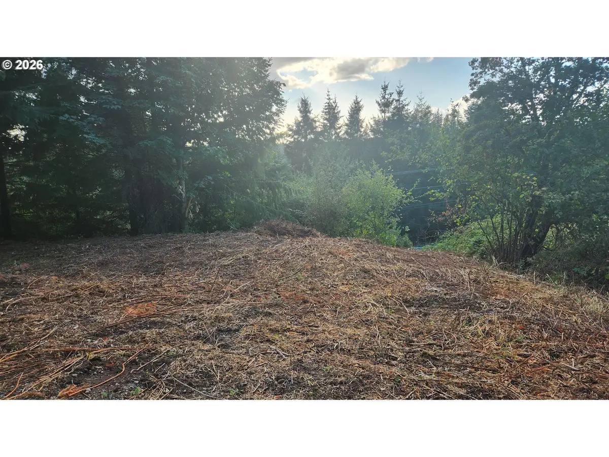 0 NE Jabez St, Winlock, WA 98596 - #1
