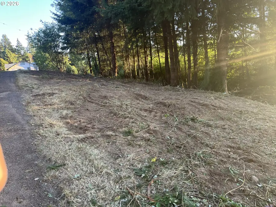 0 NE Jabez St, Winlock, WA 98596 - #3