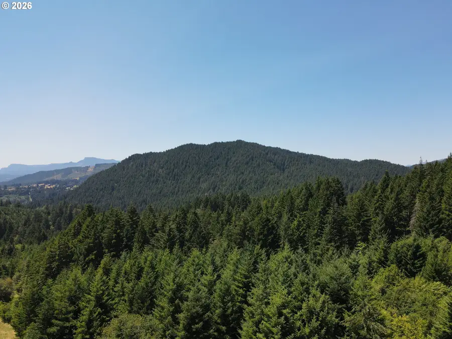 0 Dillon Rd, Stevenson, WA 98648 - #3
