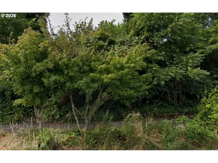 556 NE Lincoln St, Hillsboro, OR 97124 - #2