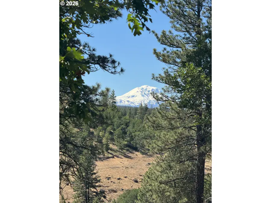 Zelinski Rd, Goldendale, WA 98620 - #3