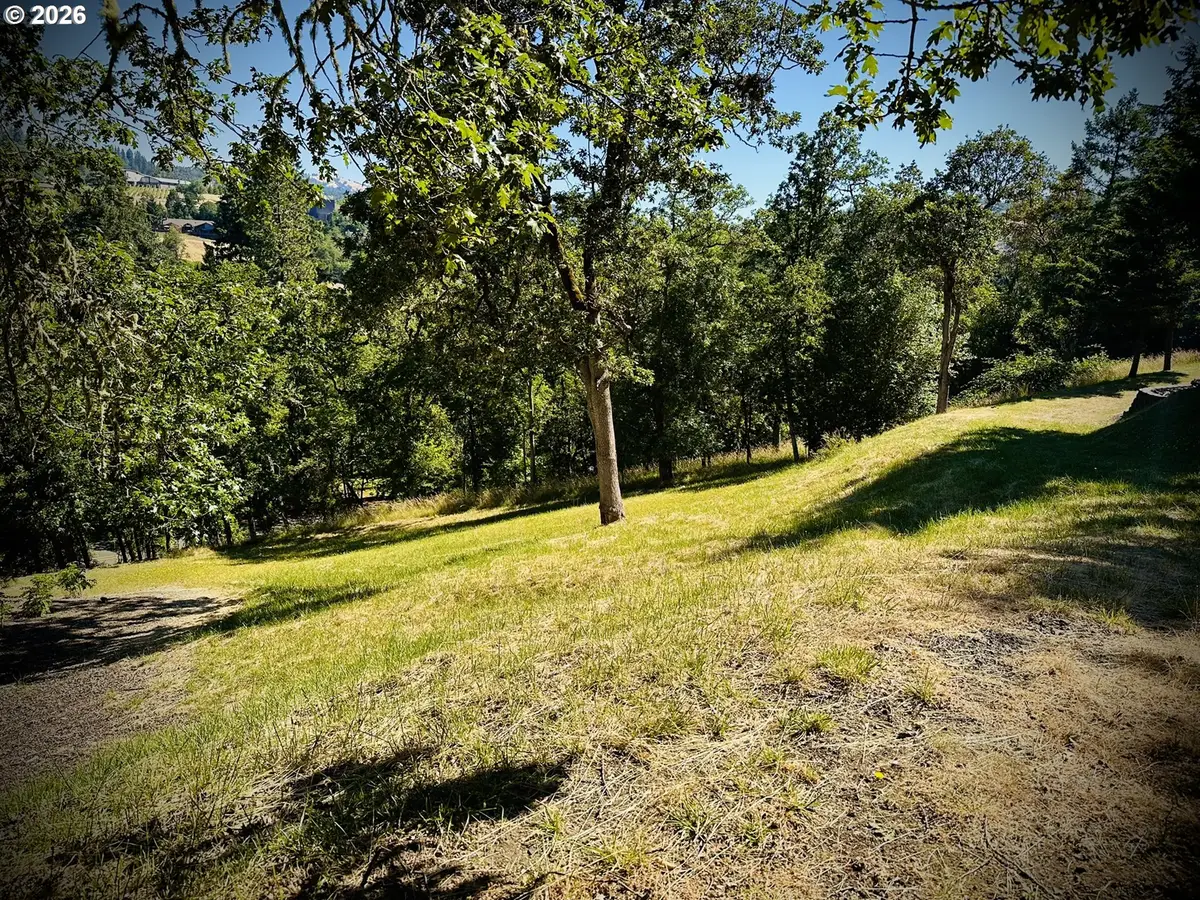214 Gray Squirrel Ct, Winchester, OR 97495 - #1