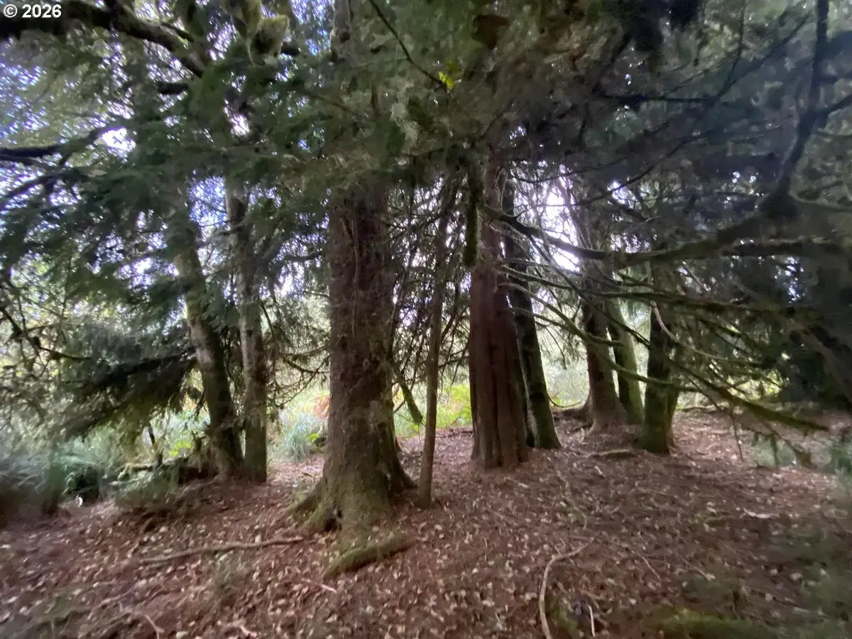 Nna Dellmoor Loop, Warrenton, OR 97146 - #1