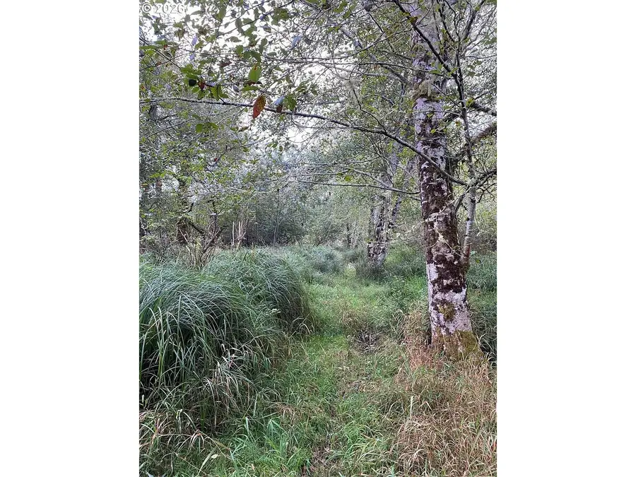 Nna Dellmoor Loop, Warrenton, OR 97146 - #2