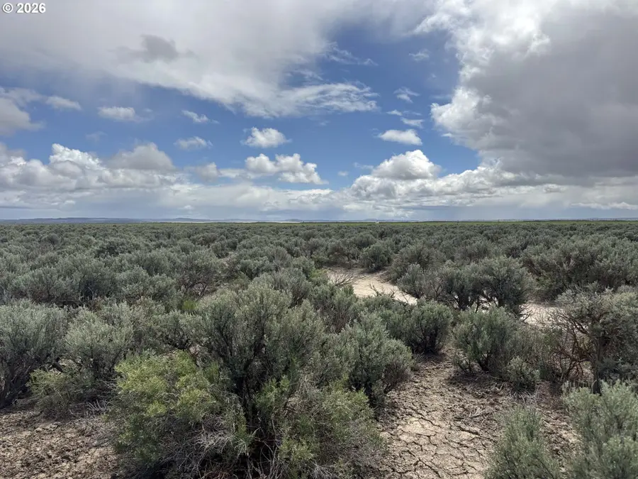 Lost Forest Lane #5600, Christmas Valley, OR 97641 - #2