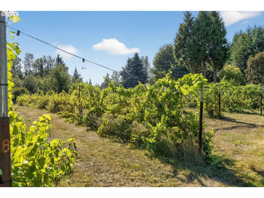 32102 NW Eagle Crest Dr, Ridgefield, WA 98642 - #3