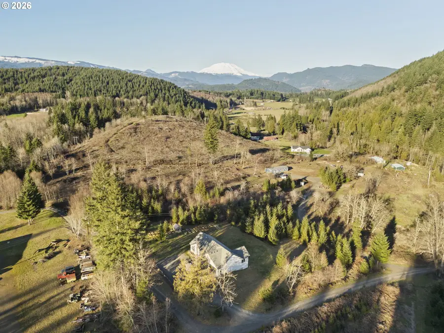 28024 NE 433rd St, Amboy, WA 98601 - #3