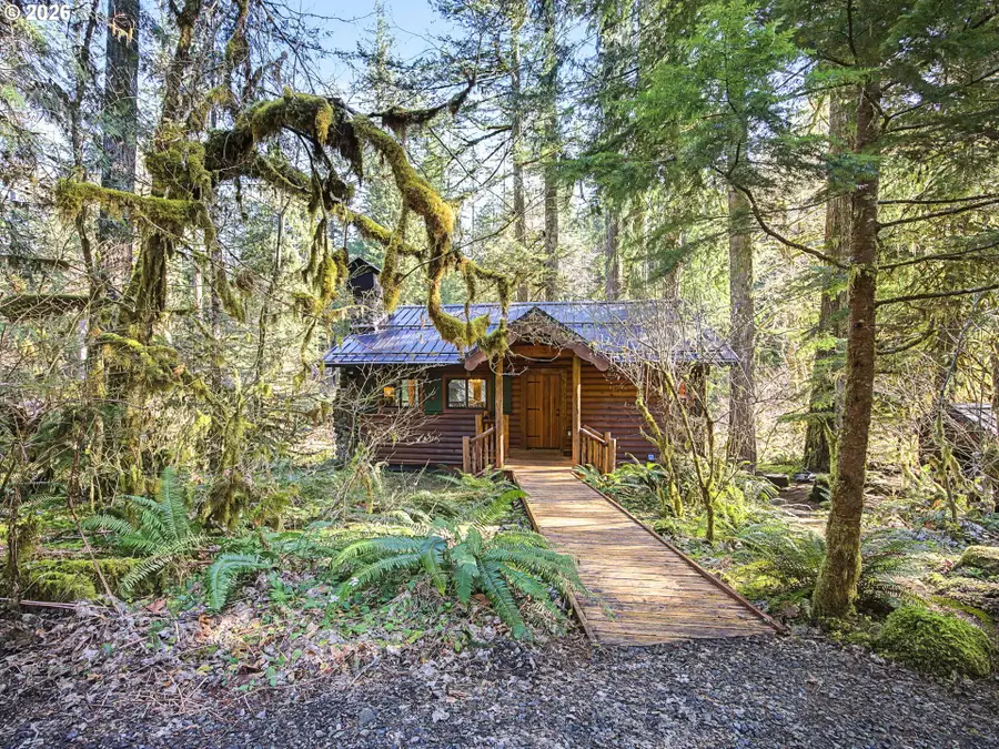 28910 E Rd 12 Lot 61, Rhododendron, OR 97049 - #3