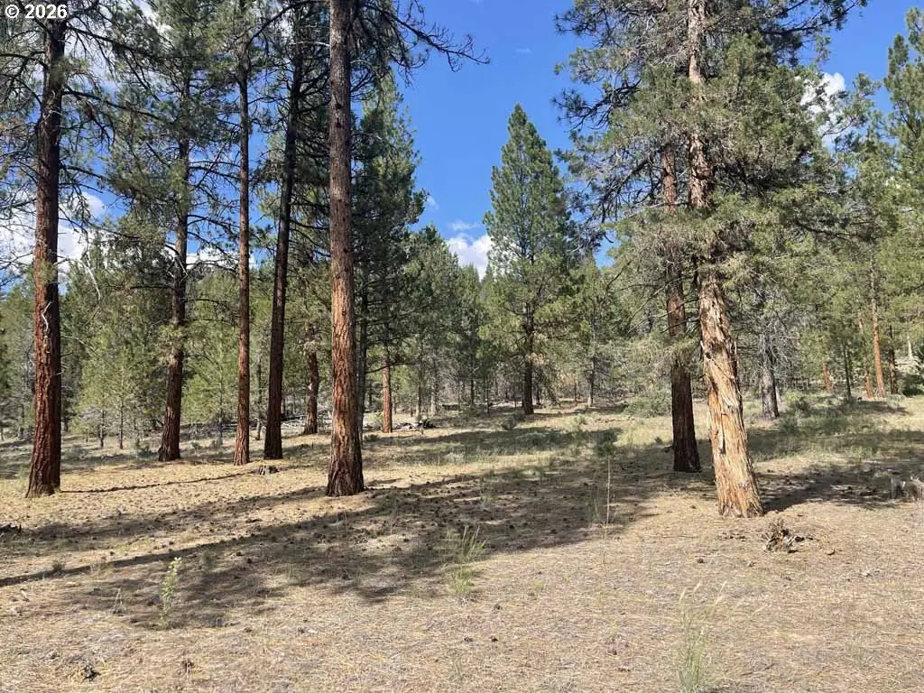 Tableland Rd #700, Chiloquin, OR 97624 - Image #1