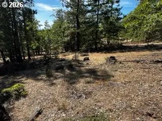 1 Orchard Heights Rd, Goldendale, WA 98620 - #2