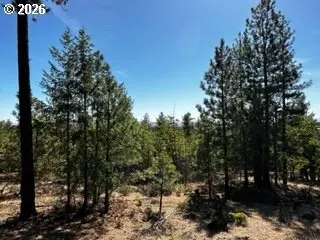 1 Orchard Heights Rd, Goldendale, WA 98620 - #3