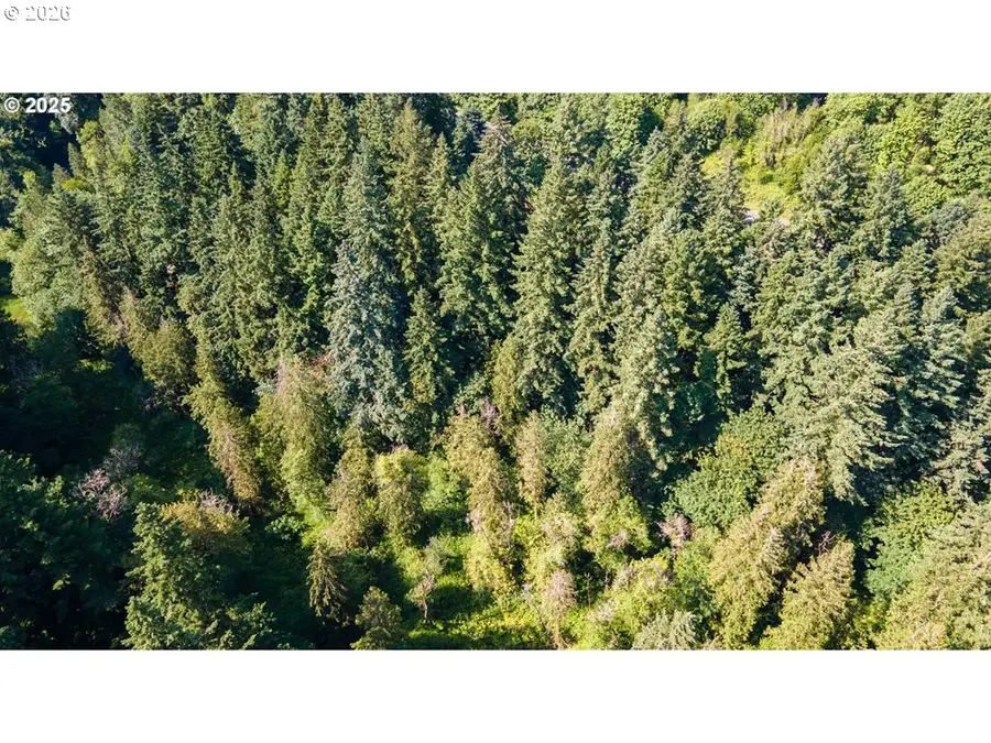 0000 NE 45th Ave, Vancouver, WA 98686 - #2