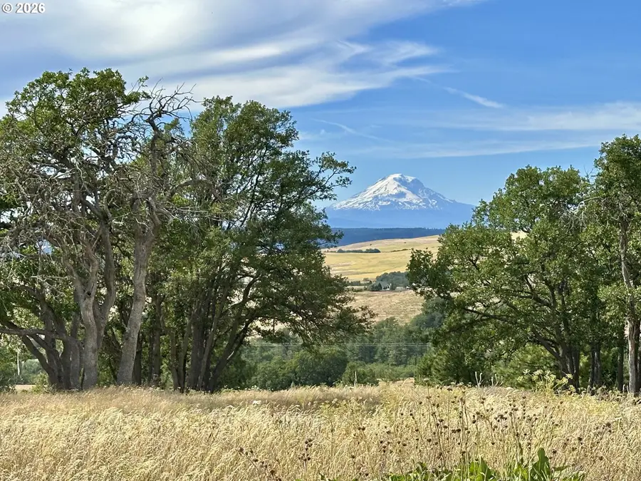 118 S Prairie Rd, Lyle, WA 98635 - #3