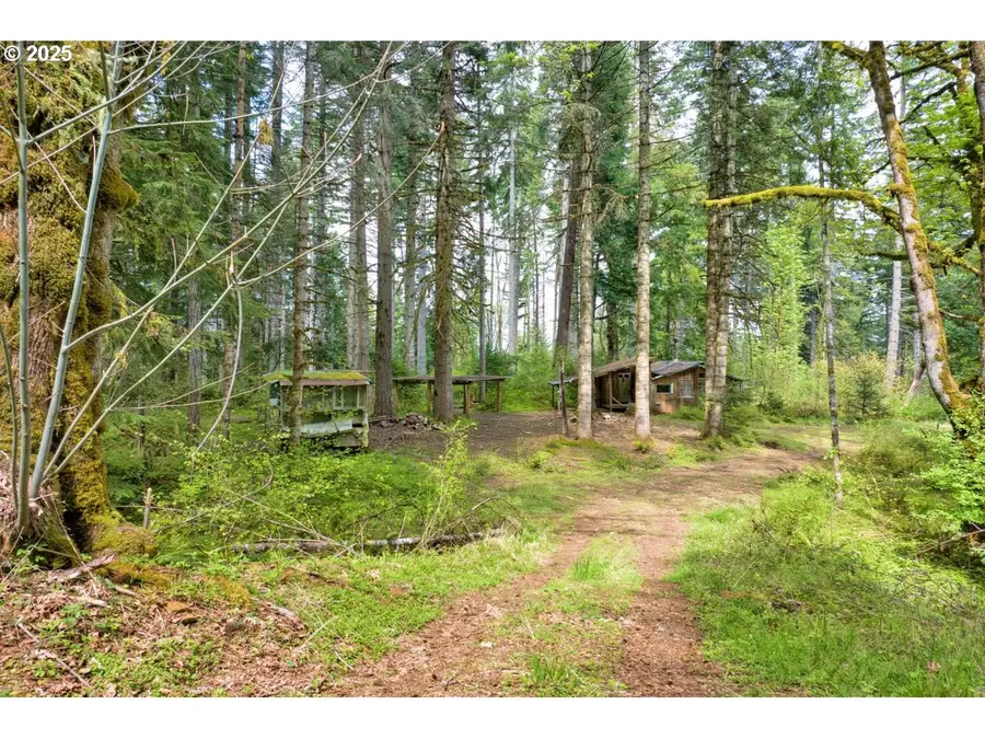 38220 Boscage Ln, Springfield, OR 97477 - #3