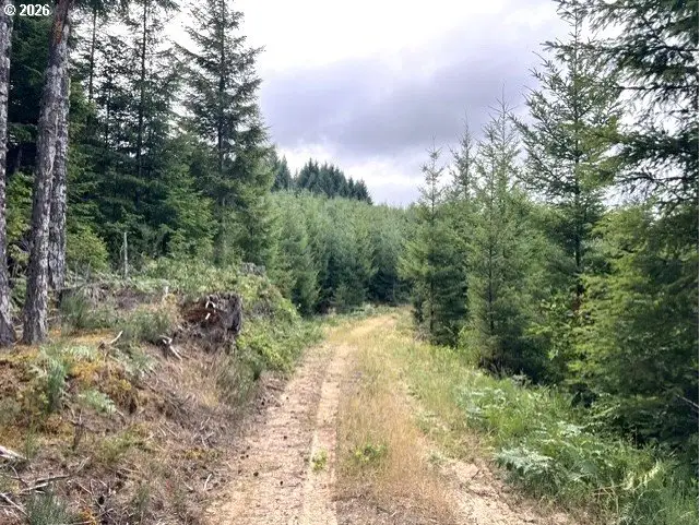 Forest Rd Off Timber, Timber, OR 97144 - #2