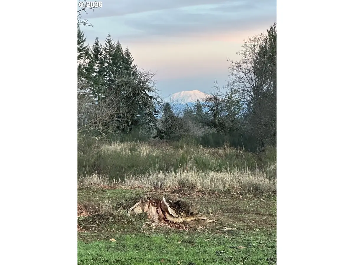 239 Suncrest Dr #2, Castle Rock, WA 98611 - #1