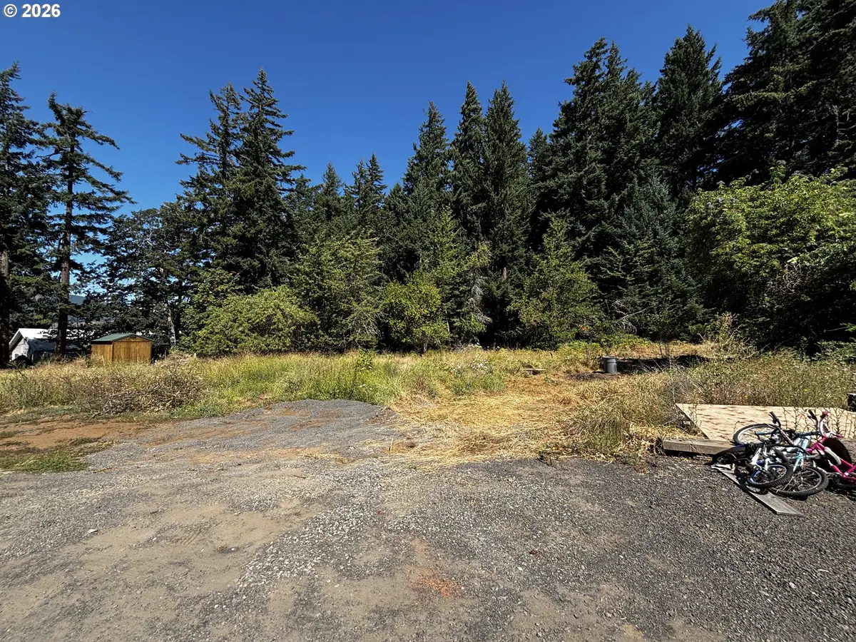 1330 Promise Ln, Whitesalmon, WA 98672 - #1