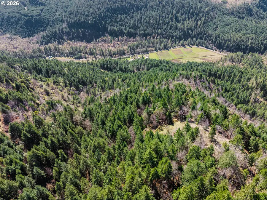 14536 Little River Rd, Glide, OR 97443 - #2