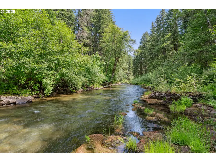 202 Edgewater Dr, Carson, WA 98610 - #2