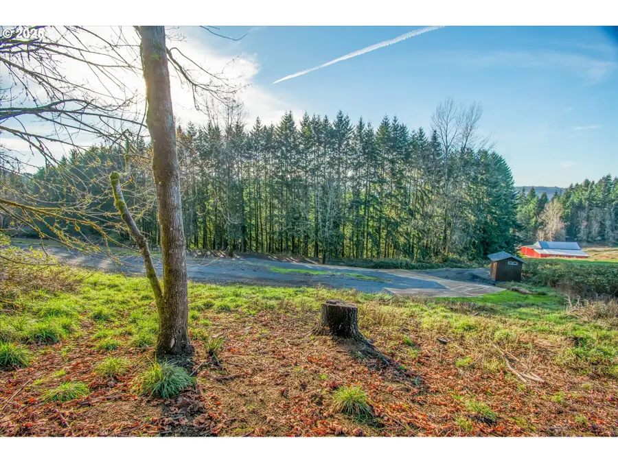 110 Lenora Ln, Kelso, WA 98626 - #3