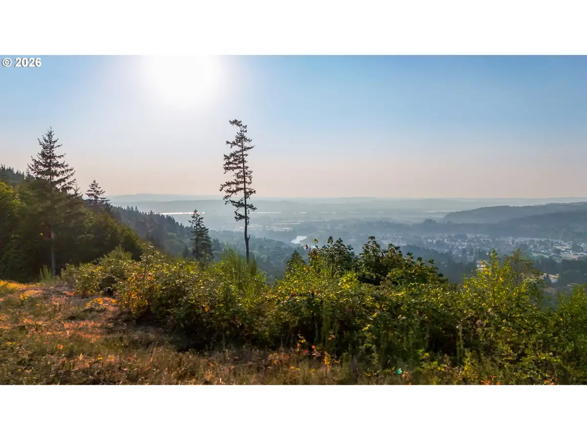 0000 NW 389th St, Woodland, WA 98674 - #1