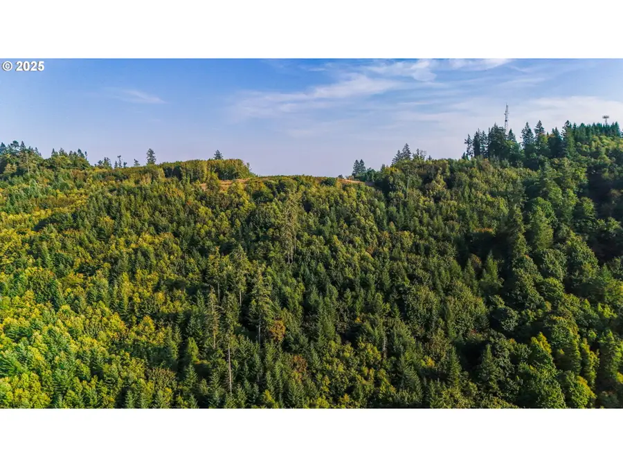 0000 NW 389th St, Woodland, WA 98674 - #3