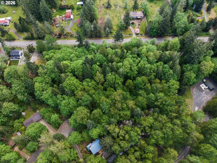 0 E Brightwood Loop Rd, Brightwood, OR 97011 - #3
