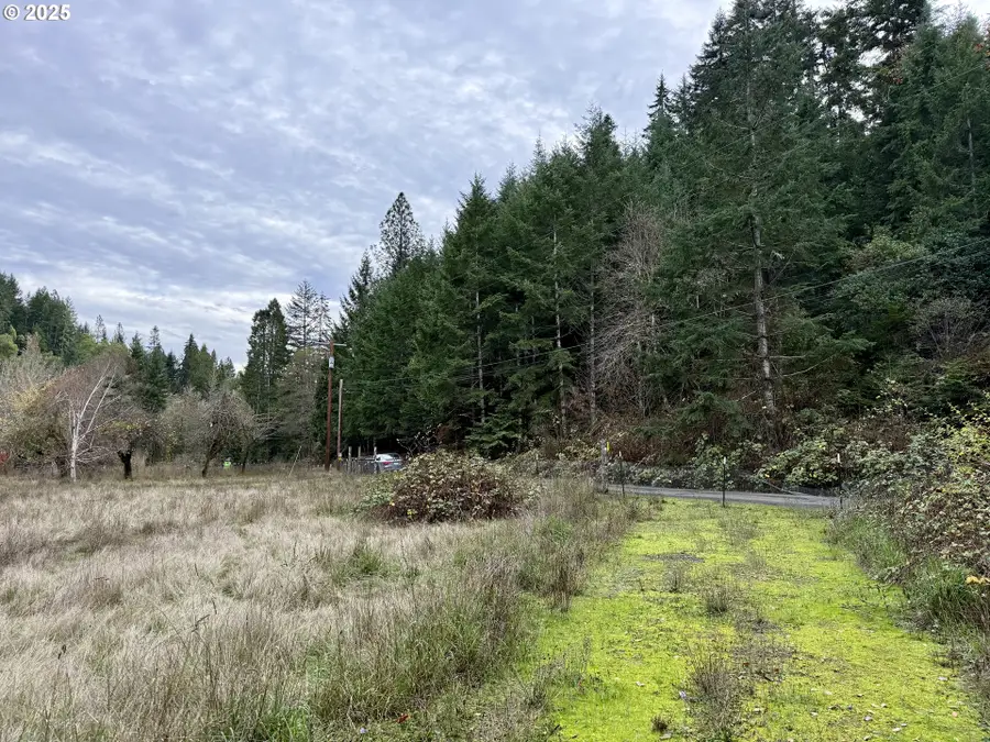 505 Sibold Canyon Rd, Tenmile, OR 97481 - Image #3