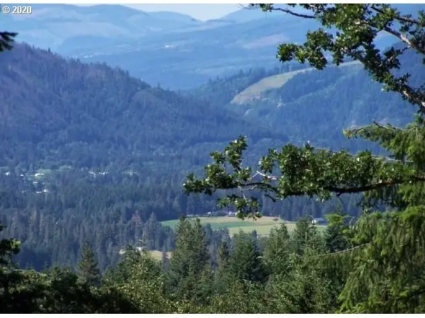 Lyons Rd, Husum, WA 98623 - #1