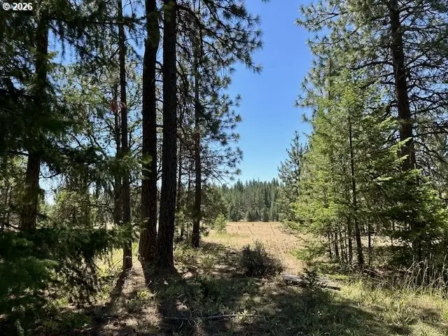 41 Timber Dr, Goldendale, WA 98620 - #1
