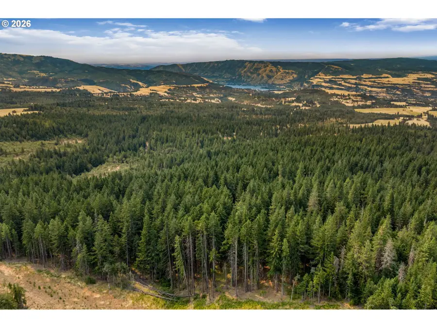 Lyle Snowden Rd, Lyle, WA 98635 - #2