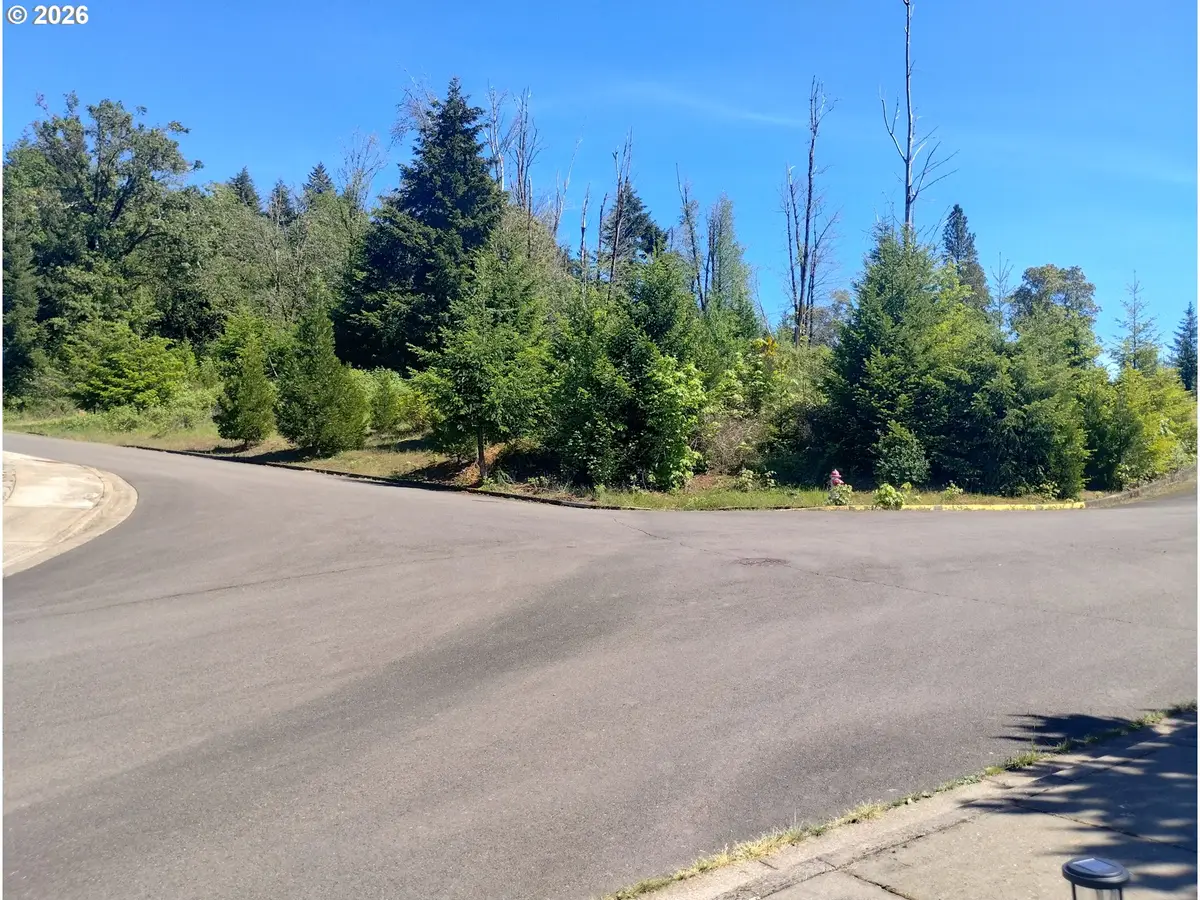 48522 Six Point Dr, Oakridge, OR 97463 - #1