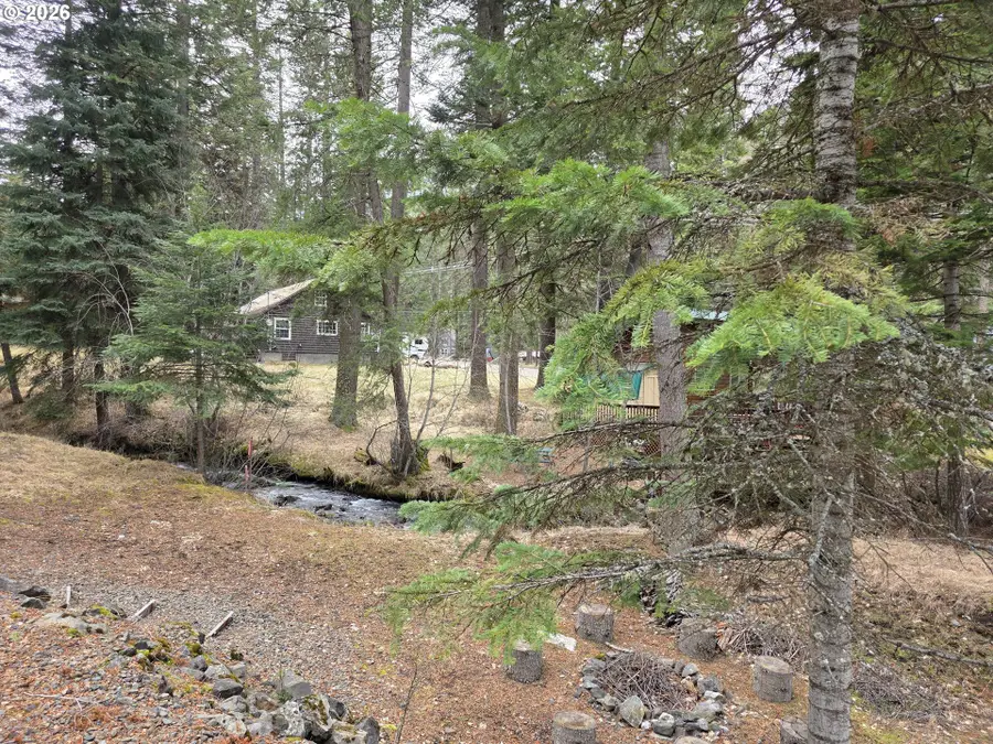 84753 Talmena Rd, Joseph, OR 97846 - #3